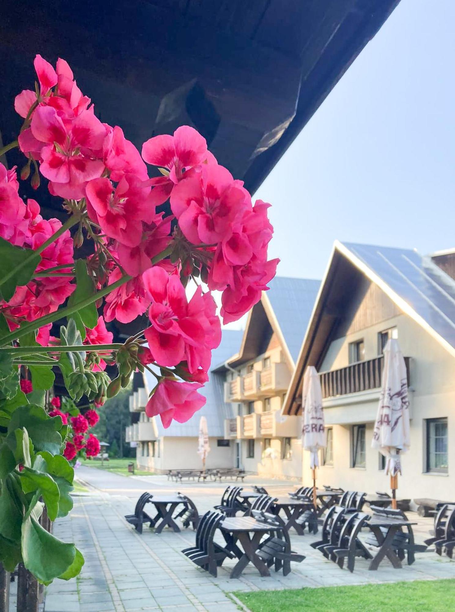 Hotel Hornik Žďár nad Sázavou Exterior foto